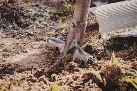 A shovel digging into the soil to plant a tree in a garden setting.