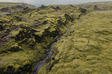 A tranquil scene featuring lush green hills and a small stream running through it, creating a...