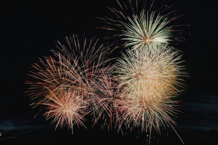 A stunning display of colorful fireworks exploding in the night sky, creating a mesmerizing visual...