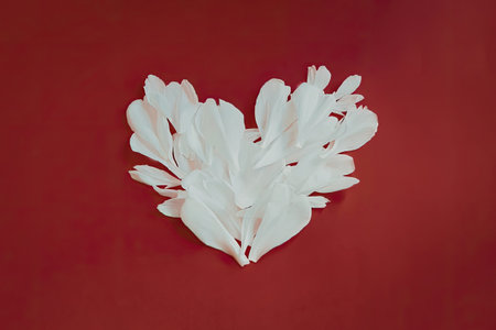 A heart-shaped arrangement of white feathers against a solid red background