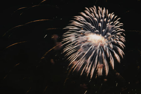 Vibrant fireworks explosion in the night sky
