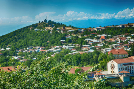 A picturesque town nestled in a hill, surrounded by lush greenery and featuring a mix of white and...