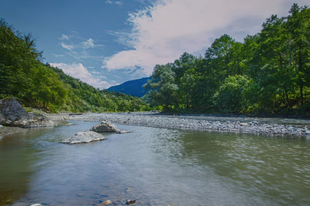 A river flowing through a dense forest with mountains in the background under a blue sky with...