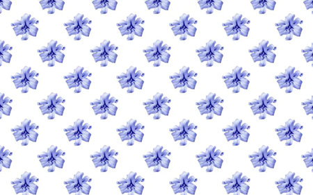 A seamless pattern of small blue flowers on a white backgroundの写真素材