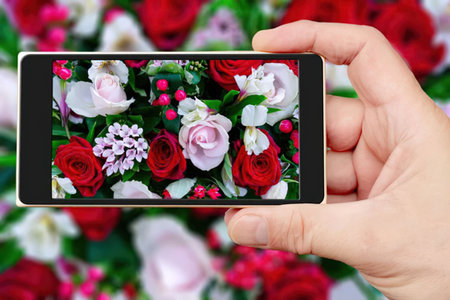 A hand holding a phone displaying a vibrant floral image, with a blurred flower background.