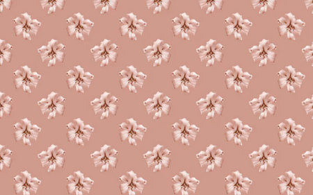 A repeating pattern of small pink flowers on a salmon-colored backgroundの写真素材