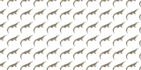 A seamless pattern of animal silhouettes on a white background.の写真素材