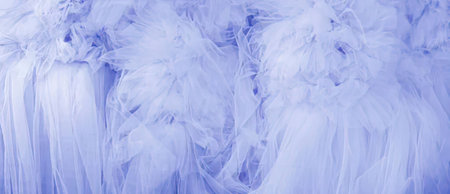 A close-up of soft, purple feathers creating a textured background.