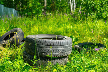 Three old tires are lying in a field of overgrown grass and weeds.の写真素材