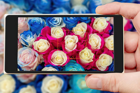 Person holds smartphone with grid overlay on screen to capture photograph of vibrant blue, pink, and...