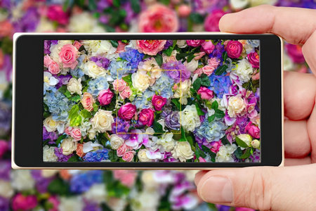 Person holds rose gold smartphone displaying vibrant floral arrangement of pastel roses and...