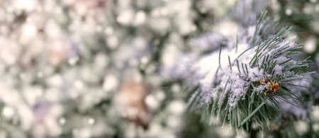 Frost covered pine tree branches with delicate snowflakes gently falling creating a serene and...