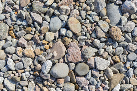 Smooth rocks and pebbles in various sizes and earthy tones create a rugged textured surface.