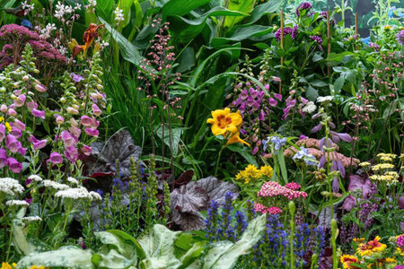 Vibrant colorful flowers bloom amidst lush greenery and diverse flora in a thriving garden, creating...