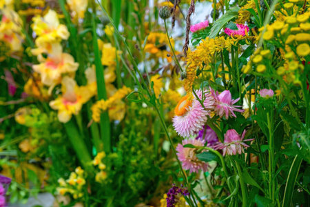 Vibrant flowers in various colors and shapes bloom together in a lush garden filled with greenery...