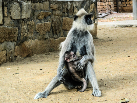 Motherhood