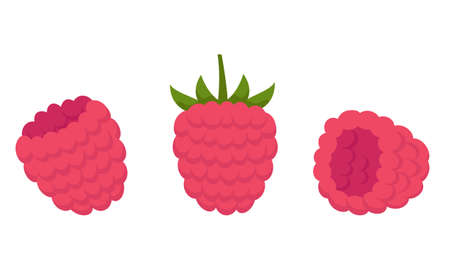 Raspberry in different angles. Berry in cartoon style.