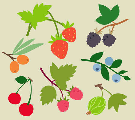 Collection of berries. natural food in flat style.のイラスト素材