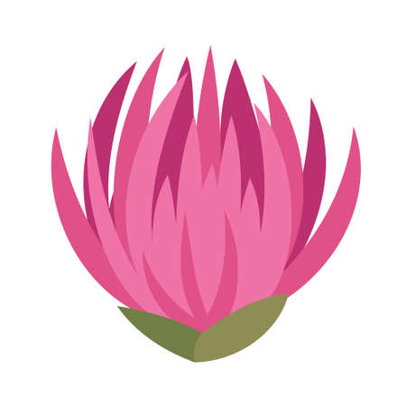 Bud of red clover. Wildflower in cartoon style.のイラスト素材