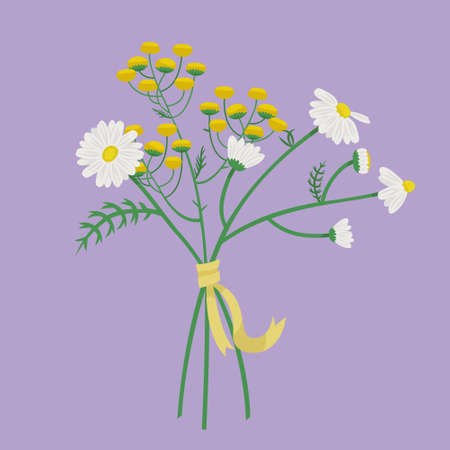 Bouquet with daisies and tansy. Beautiful flowers in cartoon style.のイラスト素材