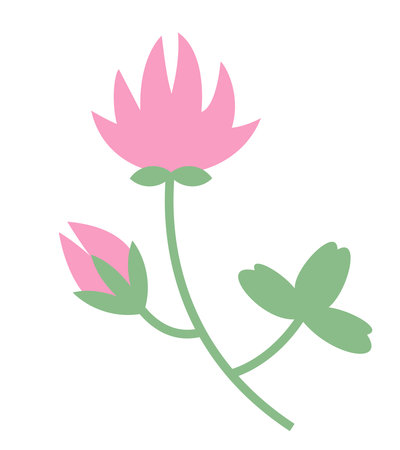 Red clover sprig. Beautiful wildflower in flat style.のイラスト素材
