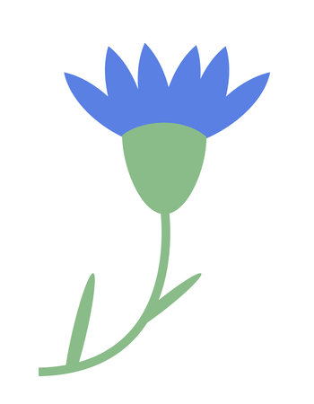 Cornflower side view. Beautiful wildflower in flat style.のイラスト素材