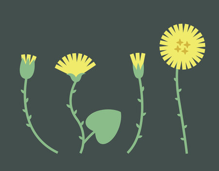 Set of mother and stepmother flowers. Wildflowers in flat style.のイラスト素材