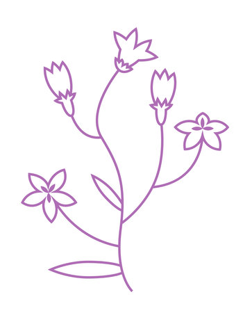 Campanula in outline style. Beautiful wildflower.のイラスト素材