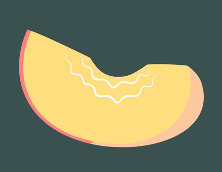 Slice of peach. Sweet fruit in flat style.のイラスト素材