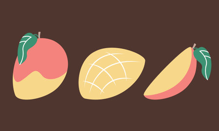 Whole and cut mango. Sweet fruit flat style.のイラスト素材