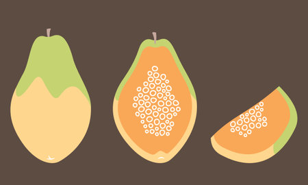 Whole and cut papaya. Sweet fruit in flat style.のイラスト素材