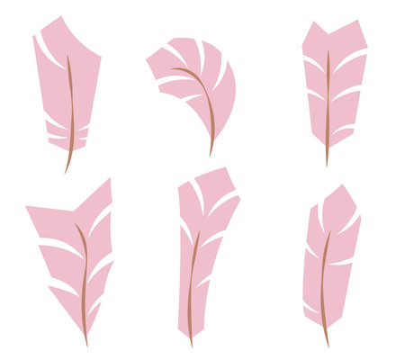 Set of pink feathers in flat style. Beautiful design elements.のイラスト素材
