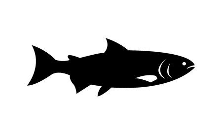 Salmon fish illustration silhouetteのイラスト素材