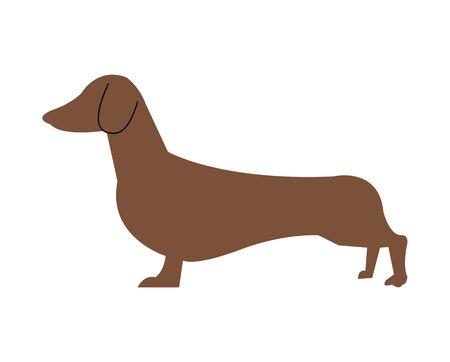 Dachshund dog standing illustrationのイラスト素材