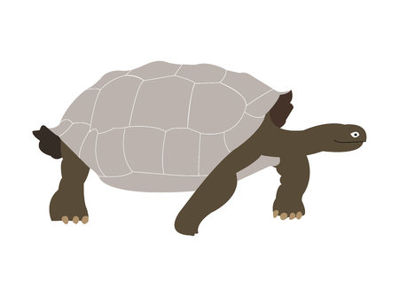 Galapagos tortoise silhouette illustrationのイラスト素材