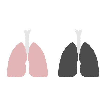 Healthy and unhealthy lungs isolated on plain background.のイラスト素材