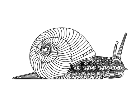 Decorated snail with his shellのイラスト素材