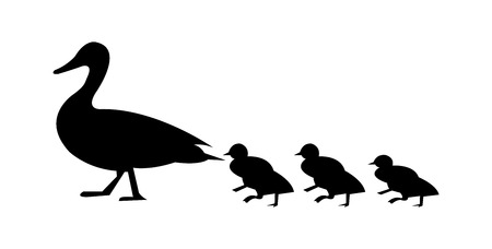 Duck with her ducklings walkingのイラスト素材