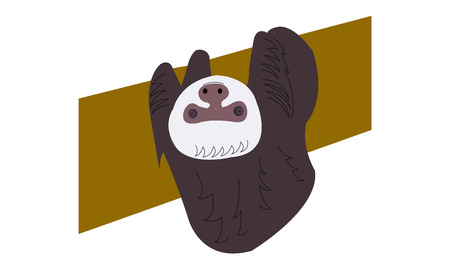 Sloth hanging from a tree trunkのイラスト素材