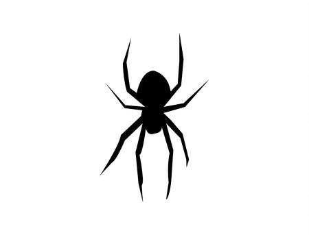 Black spider icon on white backgroundの写真素材