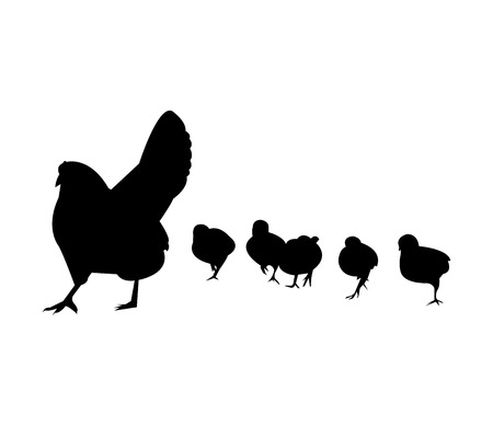 Hen with chicks silhouetteの写真素材