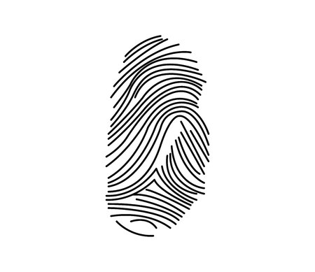 Fingerprint line art on white backgroundの写真素材