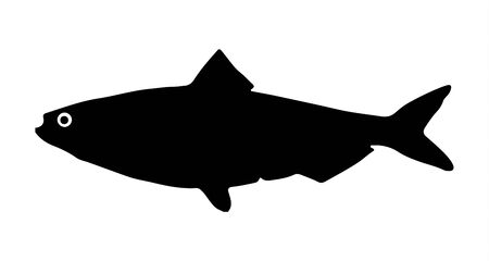 Black fish herring silhouette on white backgroundのイラスト素材