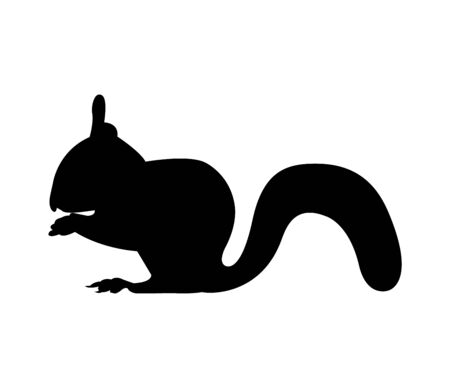 Black squirrel silhouette on whiteのイラスト素材