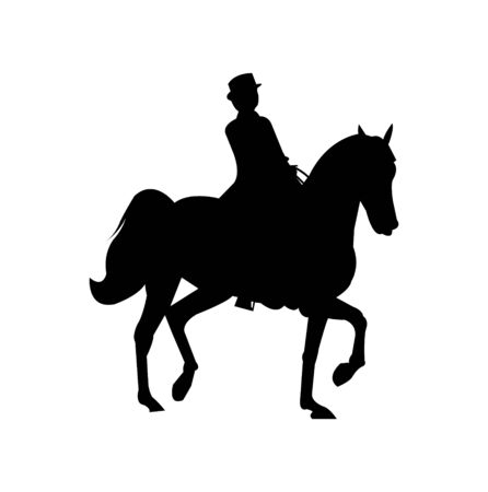 elegant woman on horse silhouette on whiteのイラスト素材
