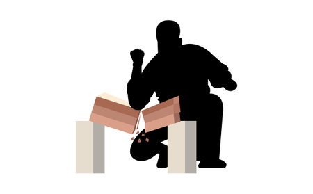 black silhouette of a karateka breaking bricks isolated on white backgroundのイラスト素材