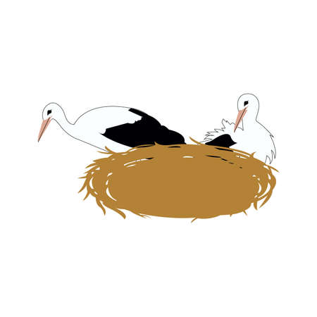 storks in a nest on whiteのイラスト素材