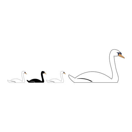 mother and baby swans on whiteのイラスト素材