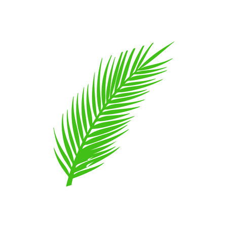 green palm leaf icon on whiteのイラスト素材