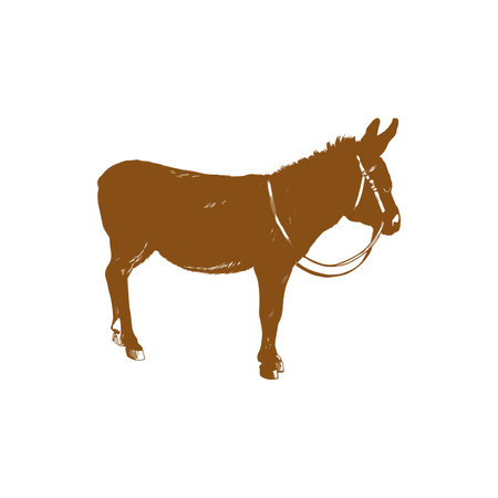 Silhouette of a donkey on a white background. Vector illustrationのイラスト素材